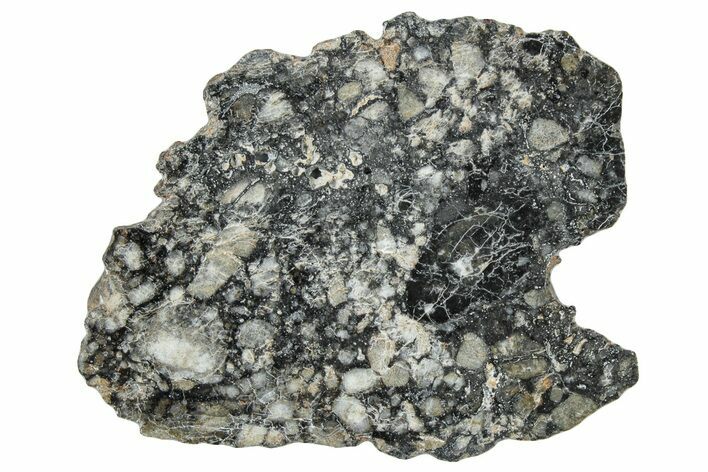 Polished Lunar Meteorite ( g) Slice - Ajdabiya #301104